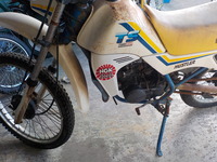 DSCN3883