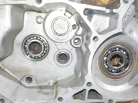 DSCN2447