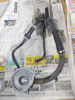 DSCN7491