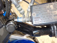 DSCN5217
