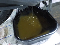 DSCN2666
