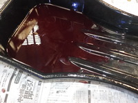 DSCN8295