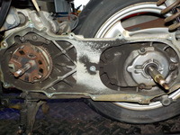 DSCN0972