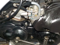 DSCN5165