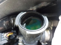 DSCN3961