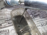 DSCN5255