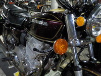 DSCN5995
