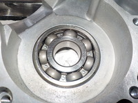 DSCN9796