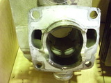 DSCI0036