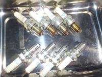 DSCN7391