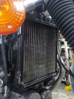 DSCN4442