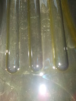DSCN2654