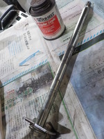 DSCN5568