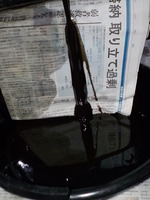 DSCN5428