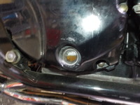 DSCN6225