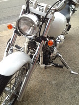 ds400ws20120830 (1)