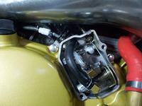 DSCN6501