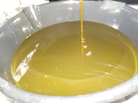 DSCN7334