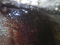 2025-06-20-09-38-32