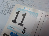 DSCN6007