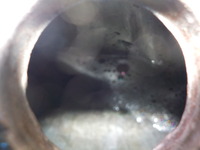 DSCN4611