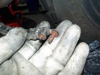 DSCN5747