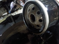 DSCN5668
