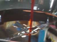 DSCN4667