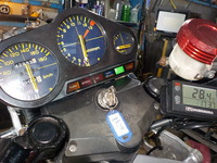 DSCN5988