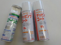 DSCN5505