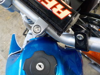 DSCN2648