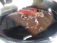DSCN5581