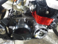 DSCN5503