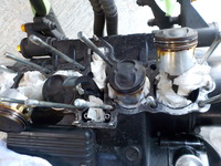DSCN5869