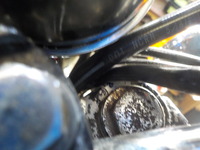 DSCN0481