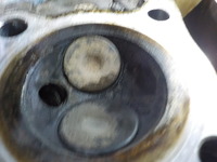 DSCN8578