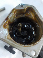 DSCN0161