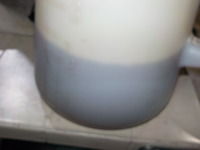 DSCN9981
