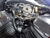 DSCN7883