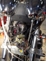 DSCN5589