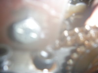 P1120708