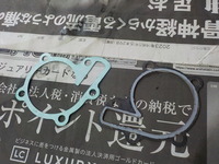 DSCN6813