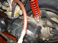 DSCN1270