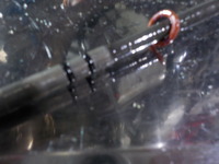 DSCN3872