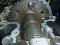 P1140977