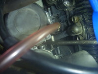 P1250803