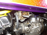 DSCN9391
