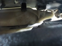 DSCN0501