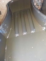 DSCN5675