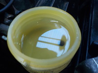 DSCN3294